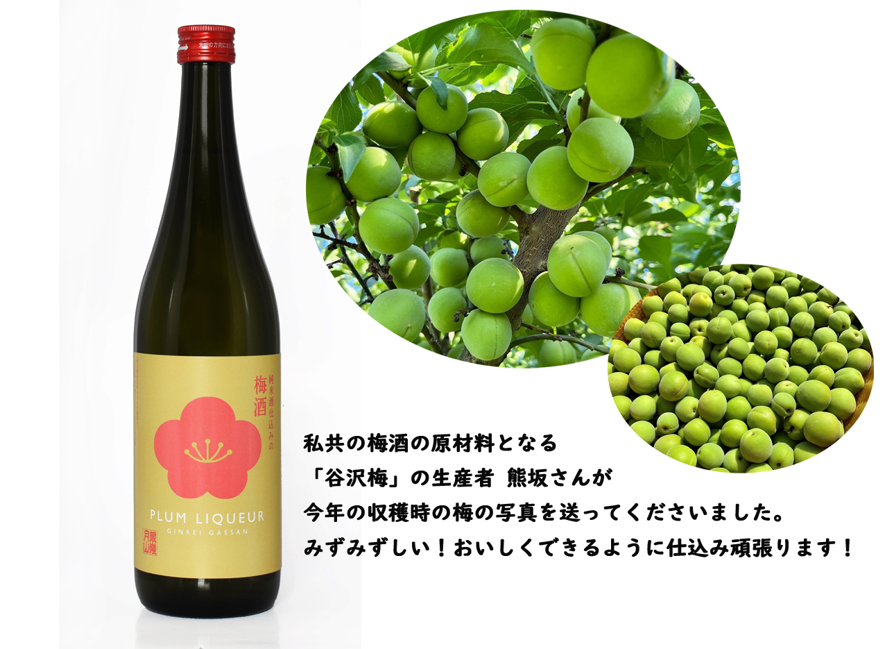 山形県の地酒・日本酒 月山酒造｜雪と緑と名水の酒蔵 Gassan Sake 